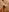 p6w_official's photo