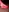 GingerYana's photo