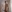 Gigolo2021@xh's photo