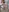 DeepSecret0's photo