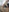 Skinnychinamilf's photo