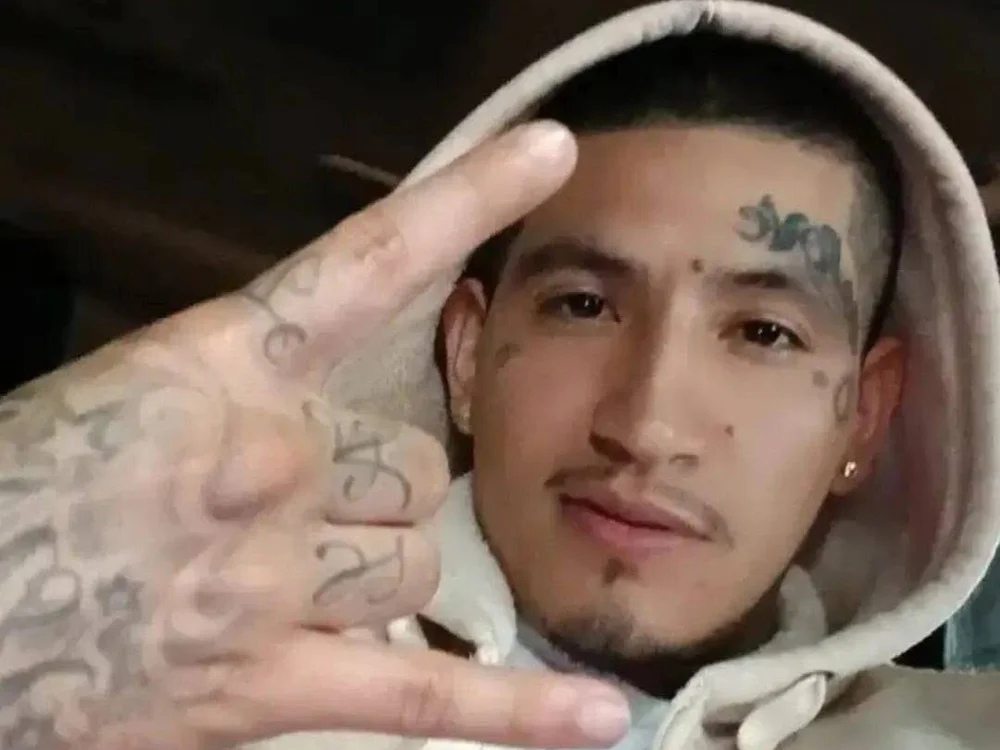 DoggiestyleCinco's Offline XXX Chat