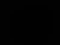 wilisilver webcam