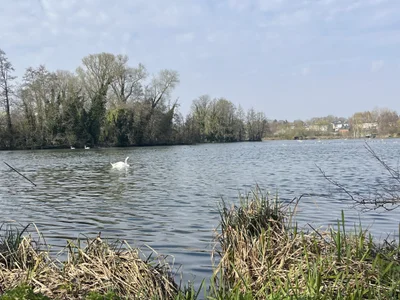 hippooooo8765 profile