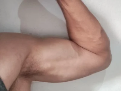 gatodepauduro profile