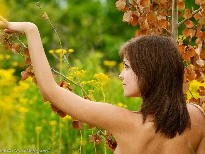 NikaModelのオフ ラインXXXチャット