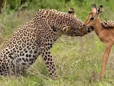 Matinyelamadoda profile