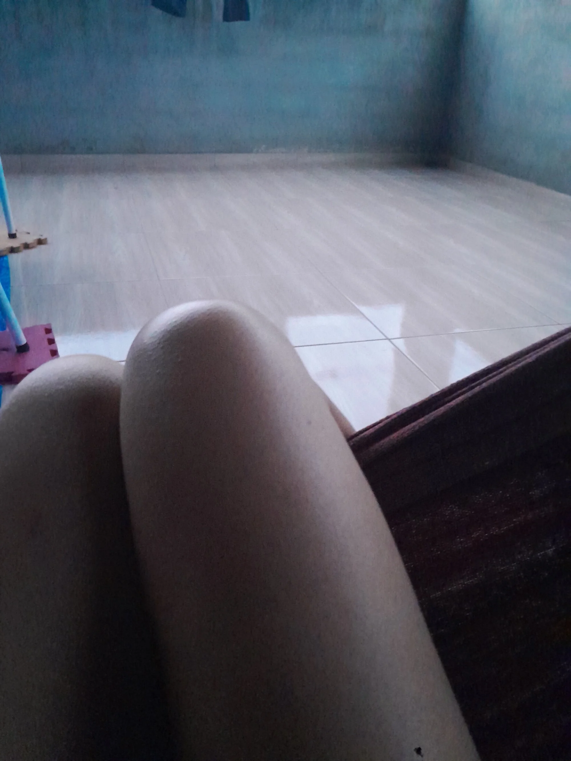 Catmoreninha