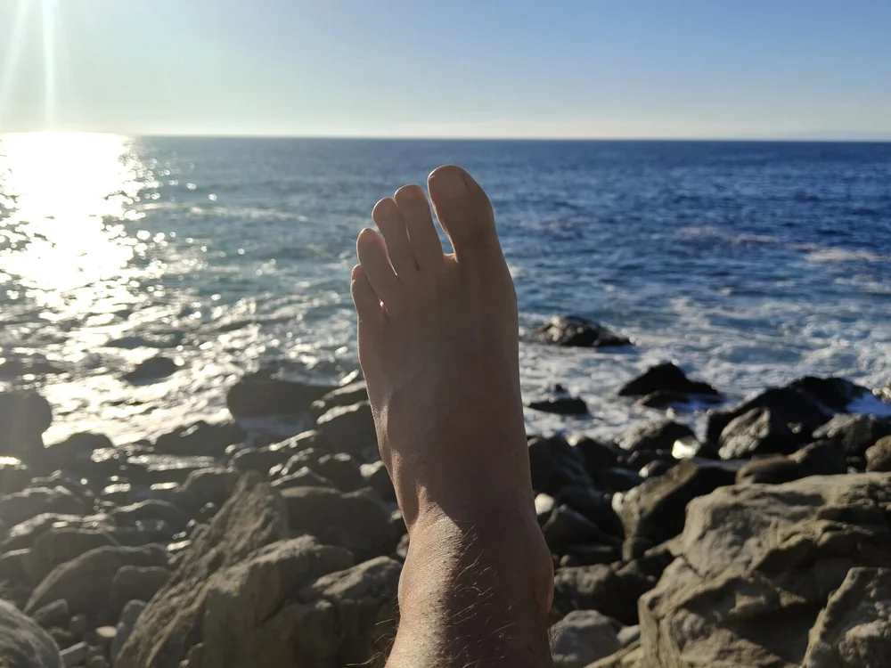 marchietto8900's Offline XXX Chat