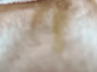 Модель hamed-697