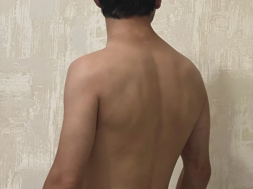 ห้องแชทออฟไลน์ของ Cyclameenn