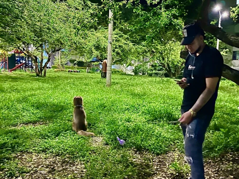 Danger453 Offline XXX-chat