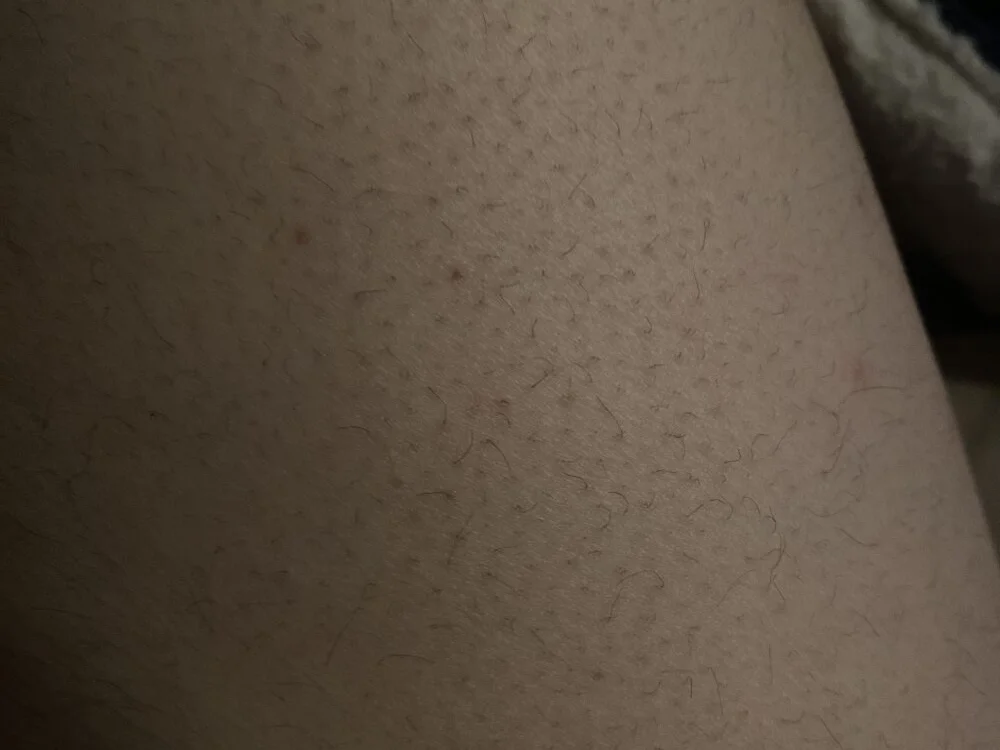 mxp1900 Obrolan XXX Offline