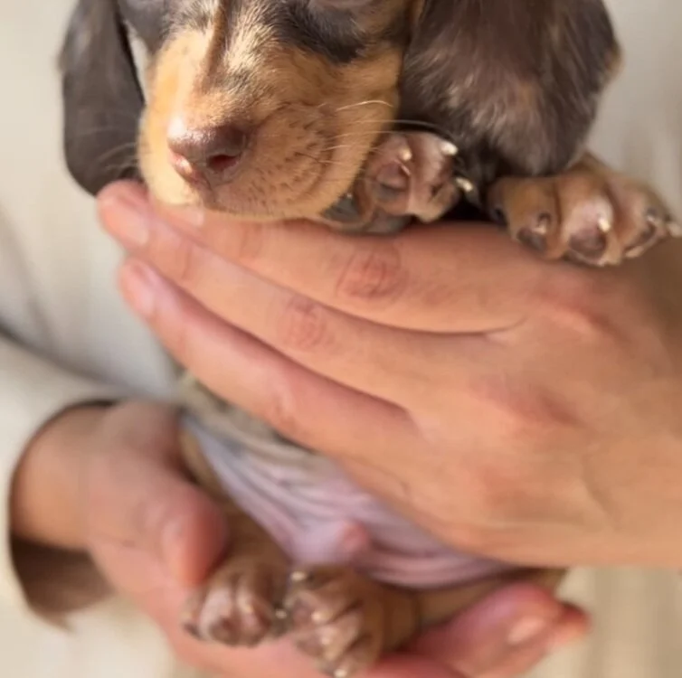 Chat XXX offline de Curious9884