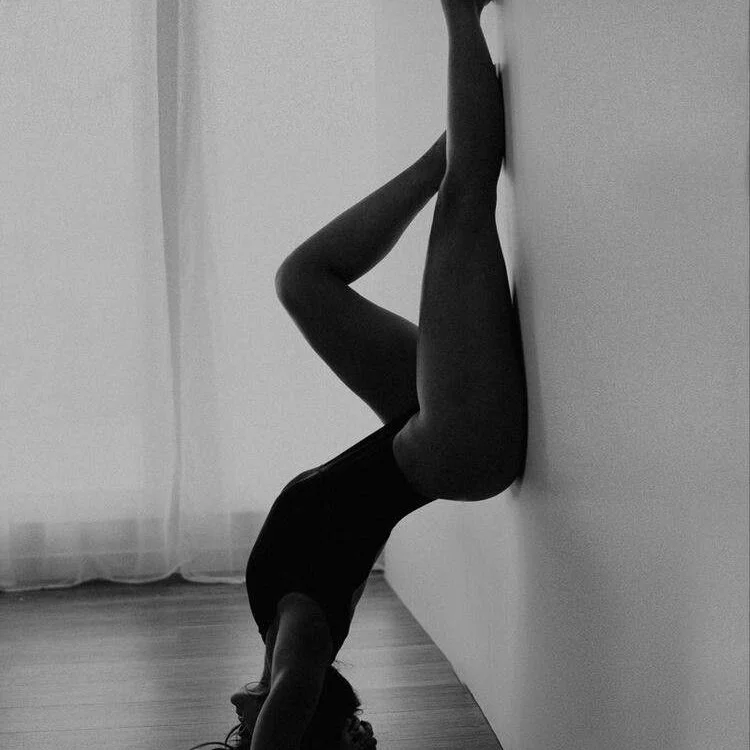 Little_flowers 离线XXX聊天