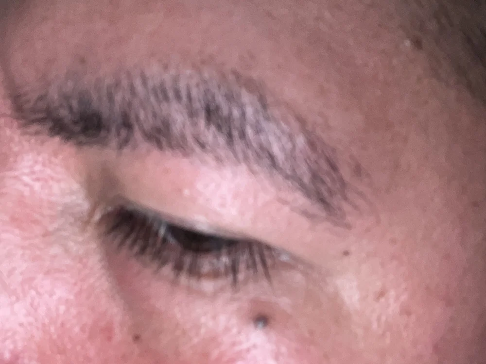 nievexxx 离线聊天室