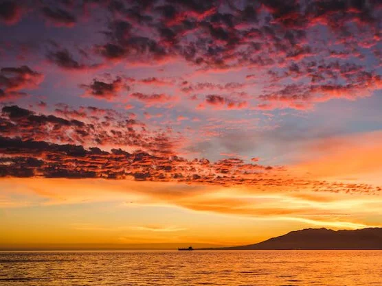 justconnect24 Offline XXX-chat