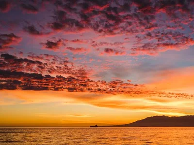 justconnect24 profile