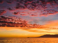 Chat +18 de justconnect24 ao vivo