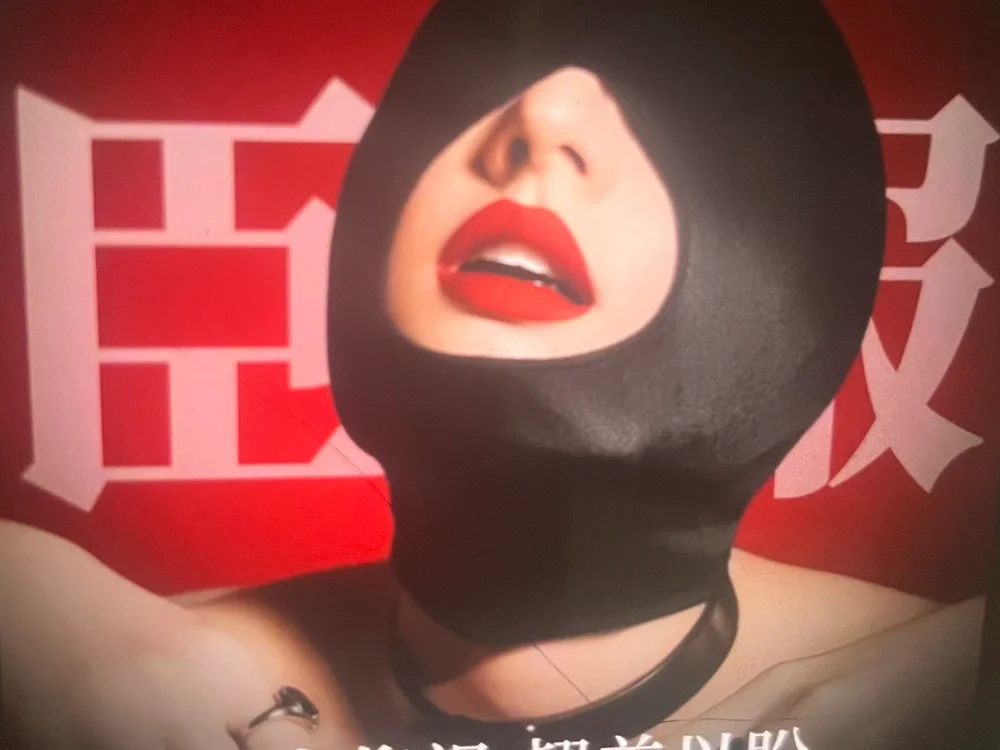 Eva-TT 离线XXX聊天