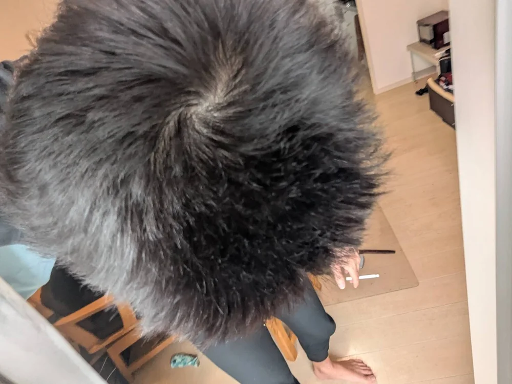 Czat XXX offline – zakochin1106