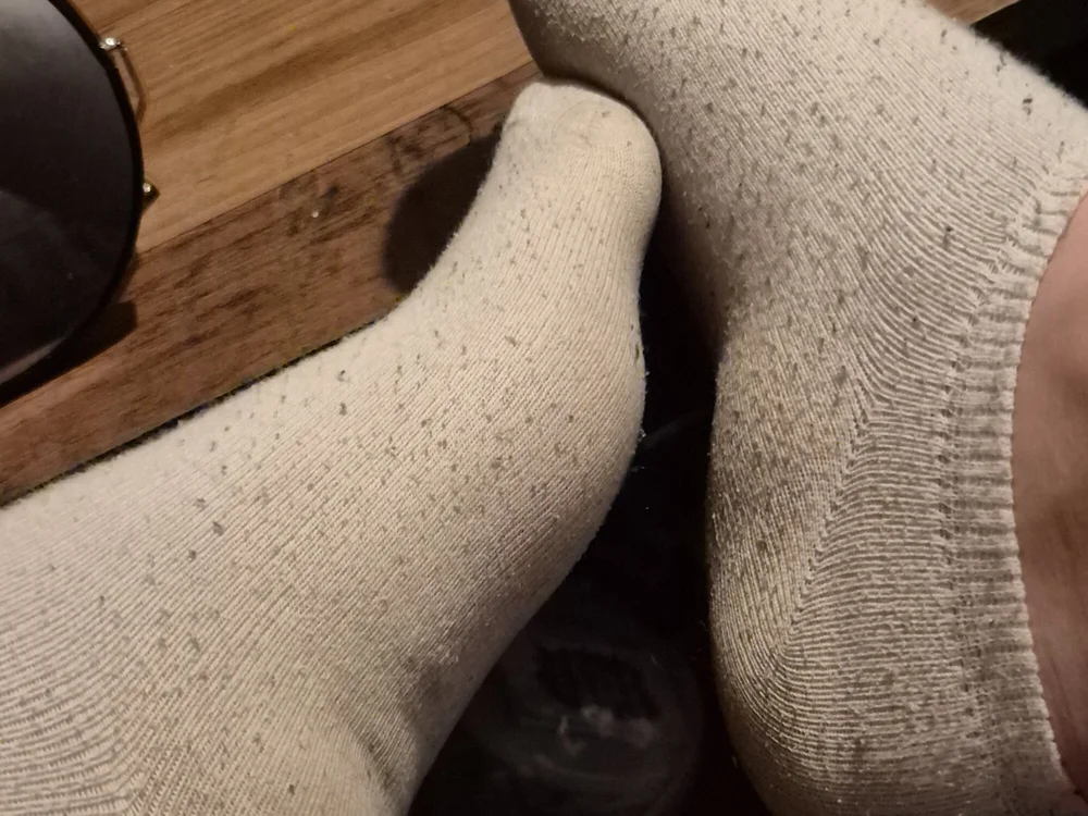sockjob_boy offline chatrum