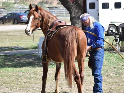 AncientCowboyStud - Boy 
