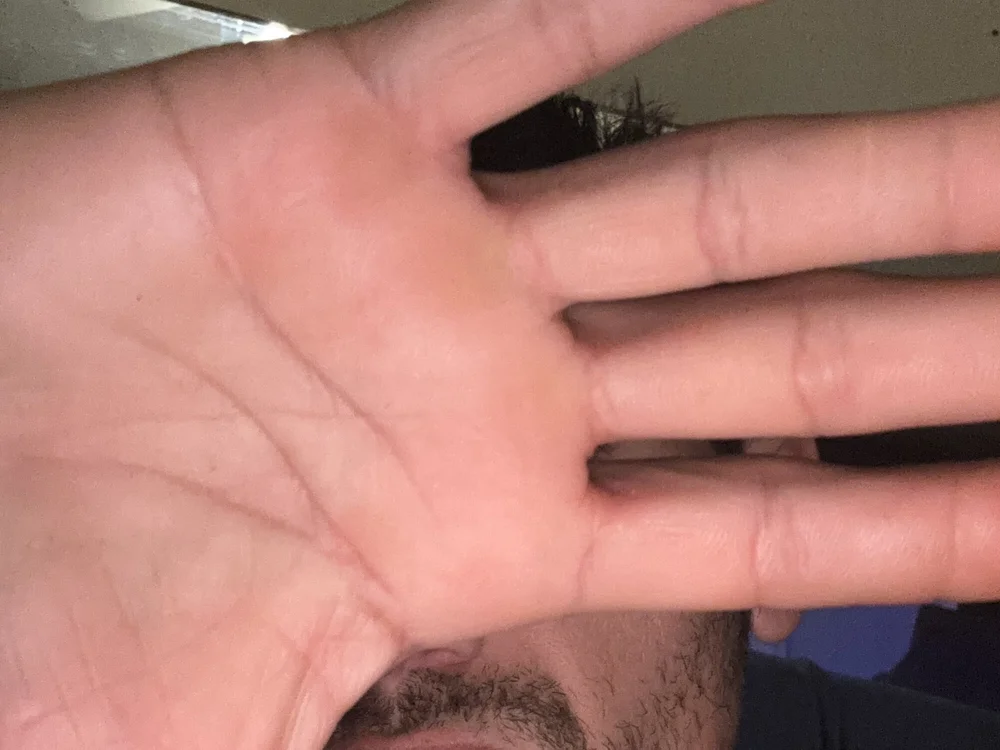 glazed6's most recent online preview