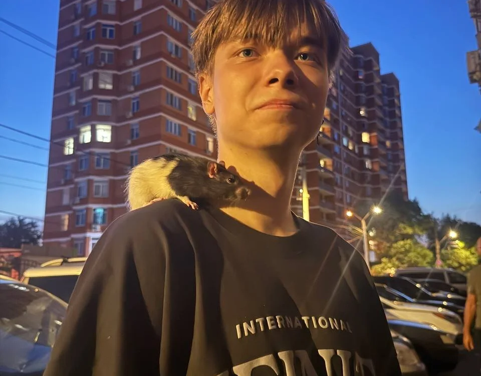 Czat XXX offline – hilt_on_