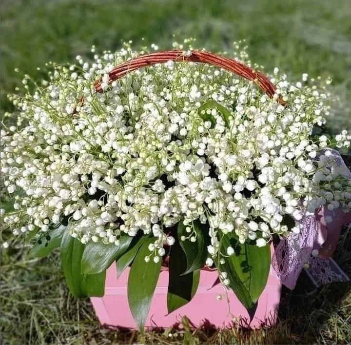 دردشة Rusnac01 الجنسية دون اتصال