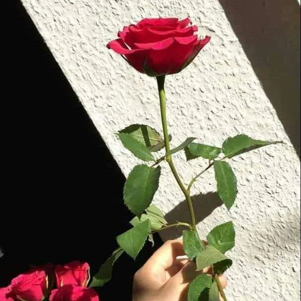 Sawsansarita Adlı Modelin Çevrimdışı XXX Sohbeti