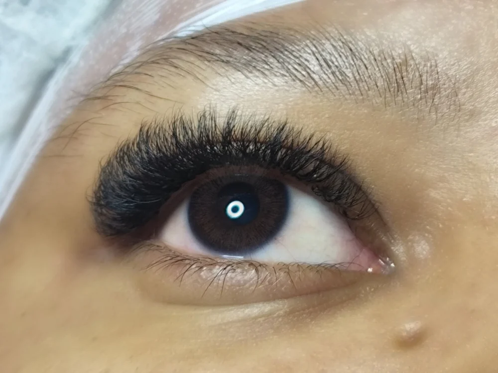 Chat XXX offline de casalanonimo2