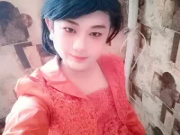ladyboyzhang