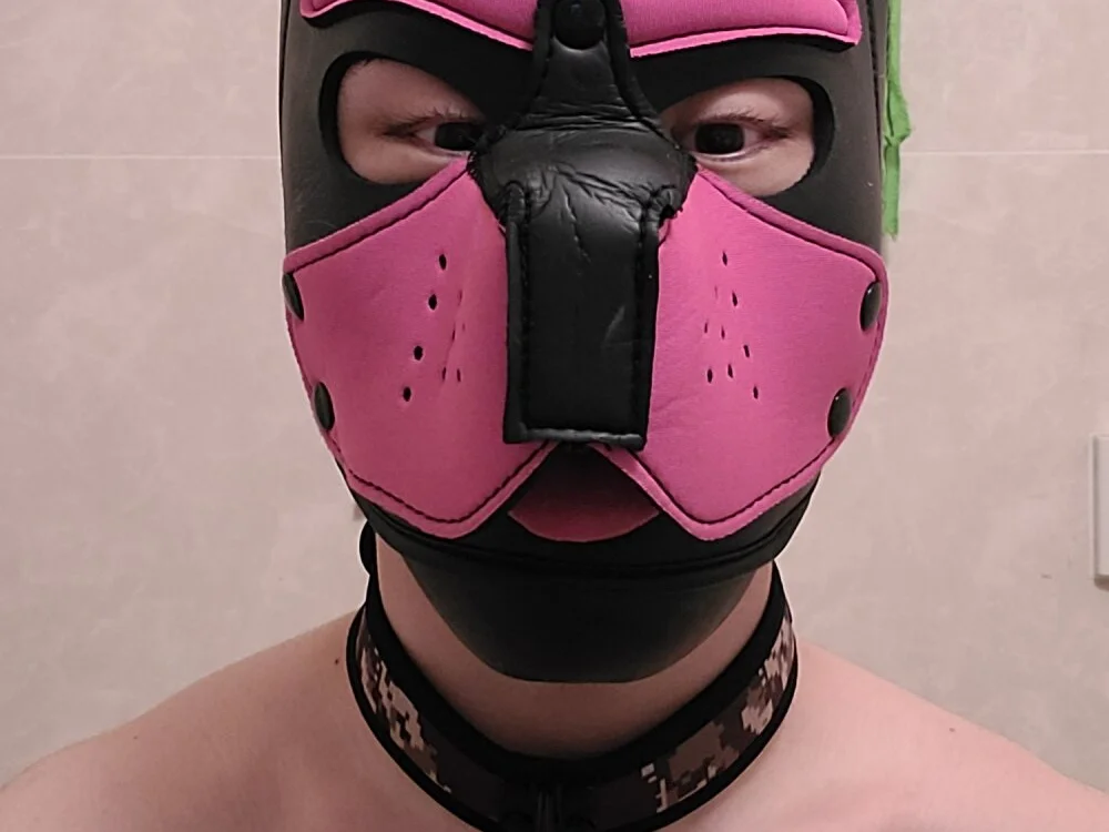 lioncake1221 offline XXX-chatje