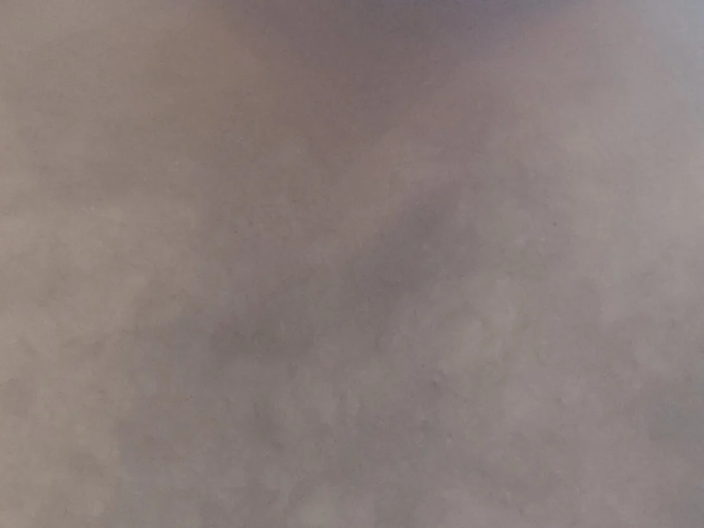 SexedFlatworm's Offline XXX Chat