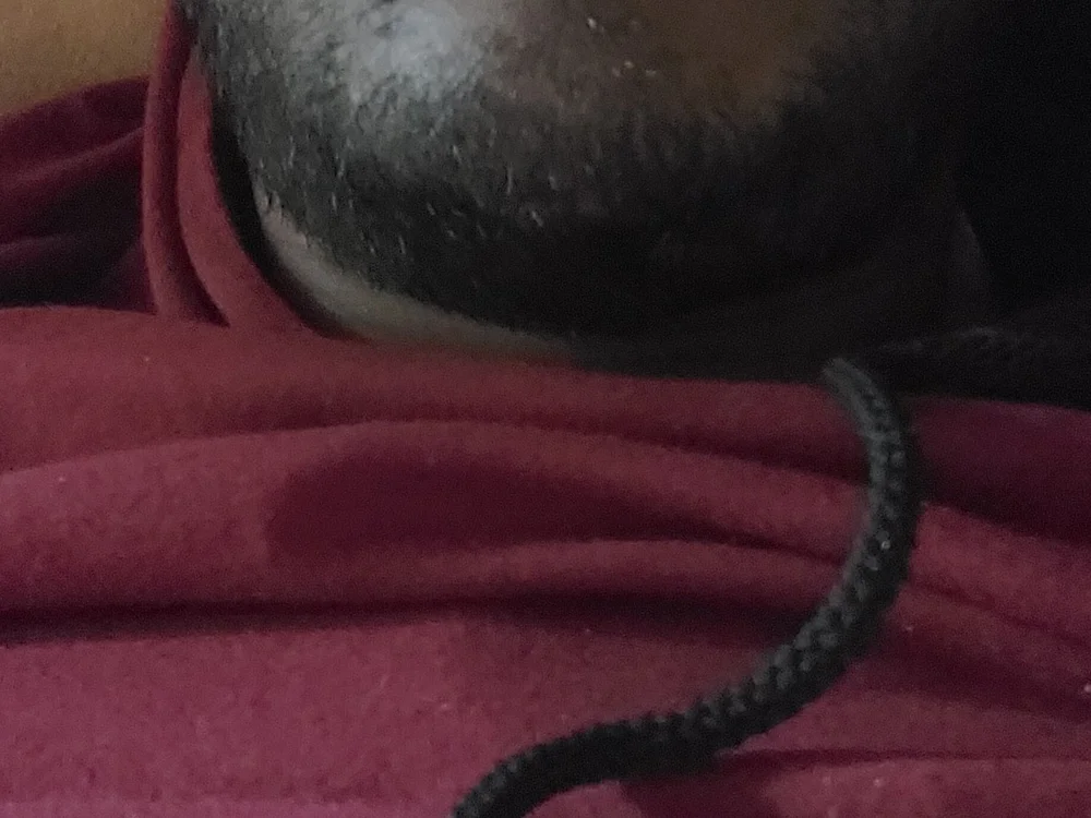 sexkolkata8