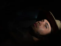 Модель colinbrown