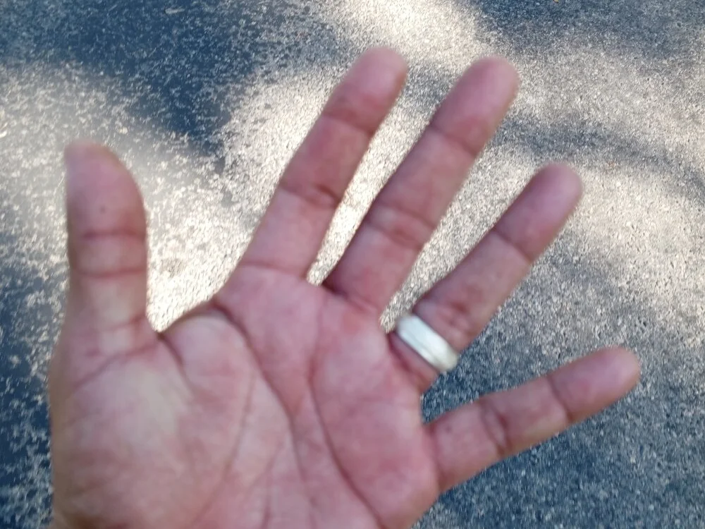 Professor_Leo_ Chat XXX offline