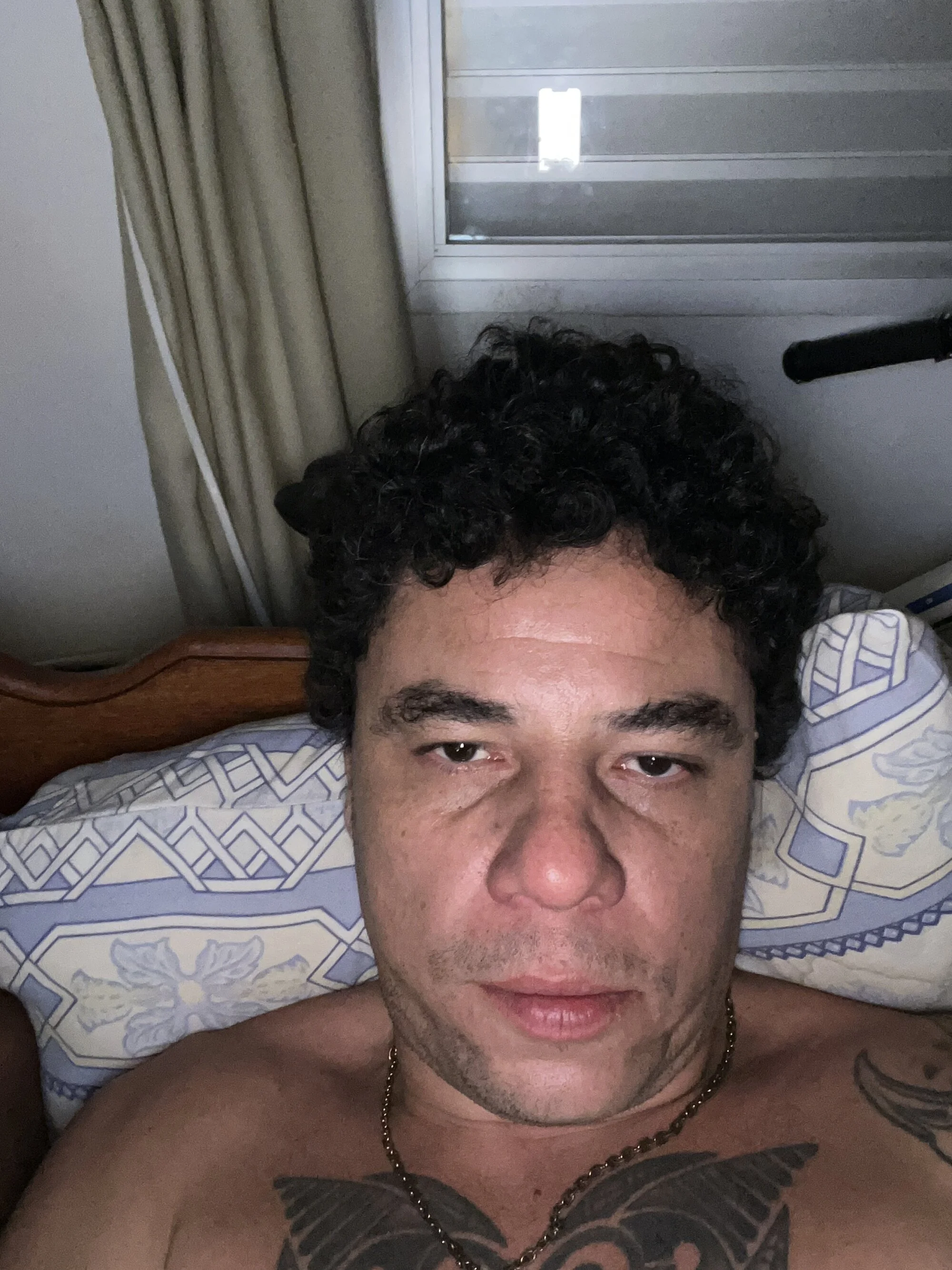 DieMitransarinos