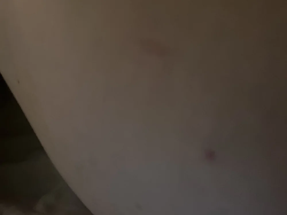 imaniceboy's most recent online preview