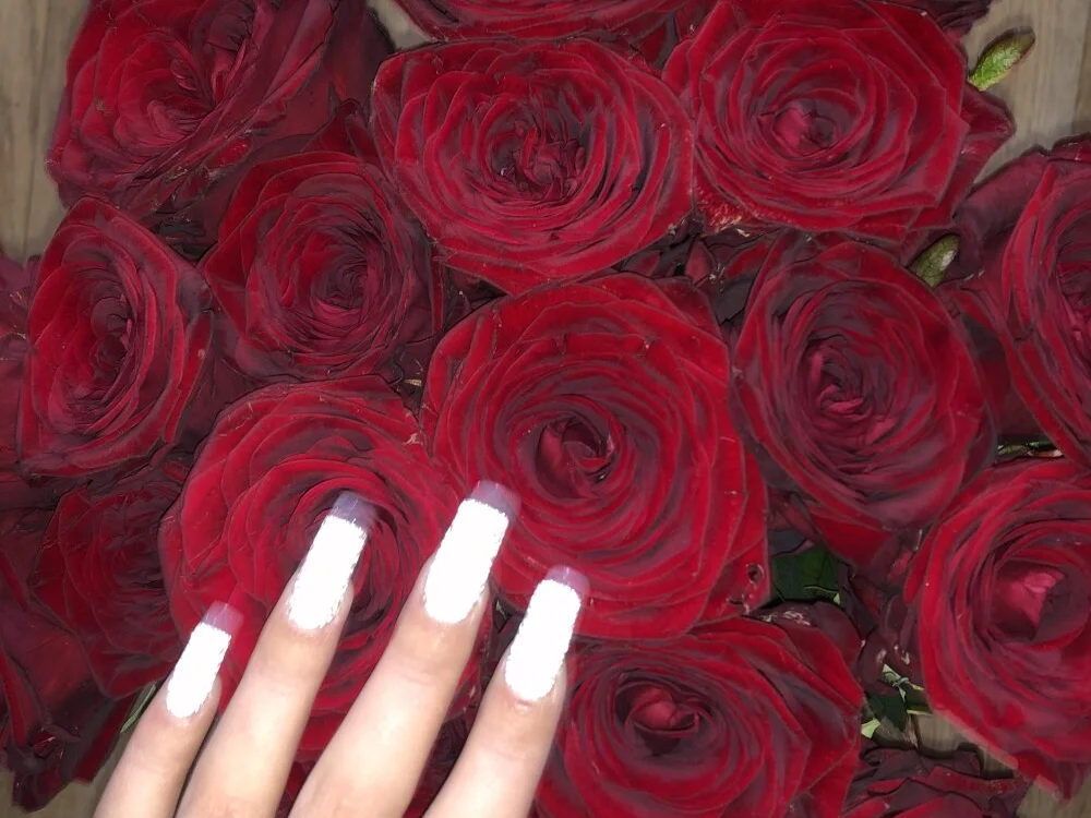 SashaPri – Offline XXX chat