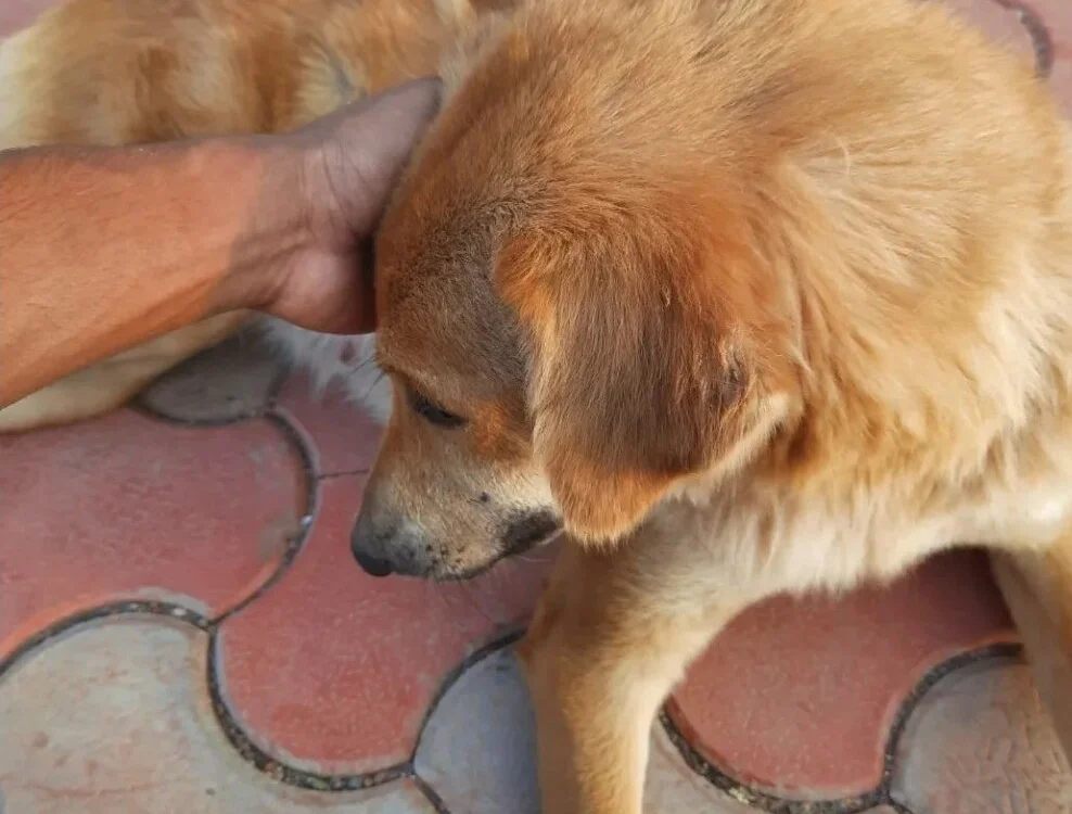 Chatroom XXX hors ligne de Telugu200