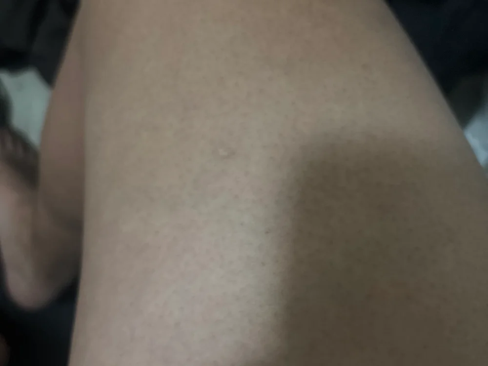 dubs6 離線 XXX 聊天