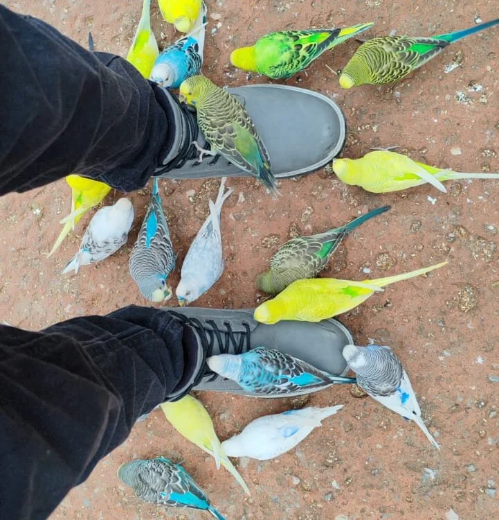 Dariel0101 – Offline XXX chat