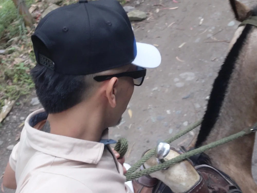 Sebas222133 cam model