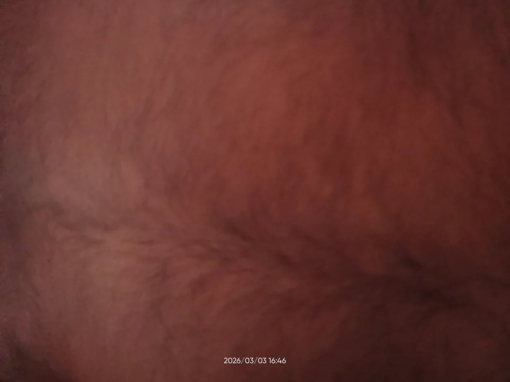 its_jonnyselfのオフラインXXXチャット