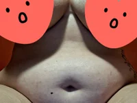 Model Husospuncika_90
