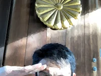 matuoams profile