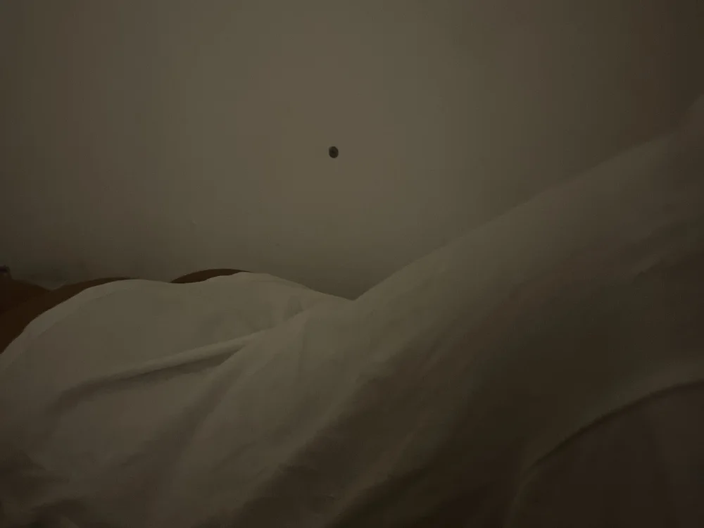 picaraxxx 离线XXX聊天