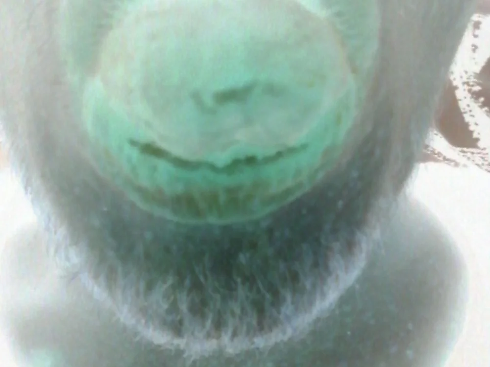 SweetToni offline XXX-chat